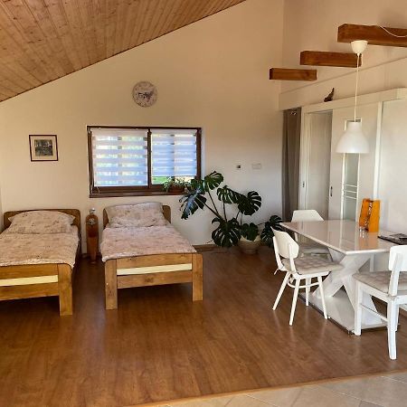 Apartman V Podhuri Jizerskych Hor Zelezny Brod Zewnętrze zdjęcie