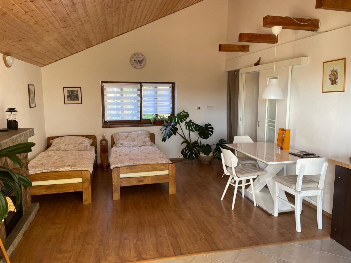 Apartman V Podhuri Jizerskych Hor Zelezny Brod Zewnętrze zdjęcie